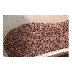 Pecky ihned po odpeckování