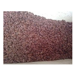 Pecky 1 hod po odpeckování